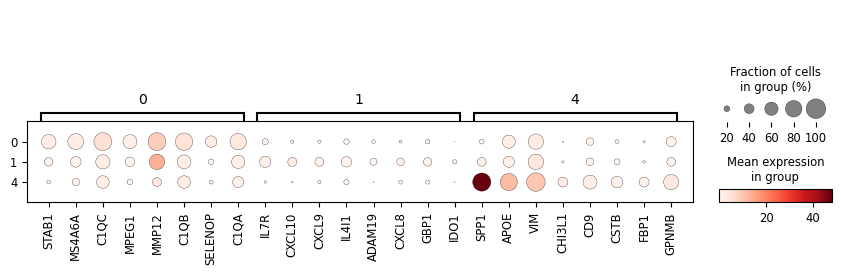 ../_images/case_sc_SVC_case_Monocyte_13_1.png